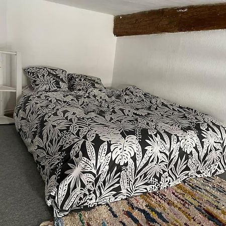 Appartement De Caractere Au Coeur Du Centre-Ville Montpellier Ngoại thất bức ảnh