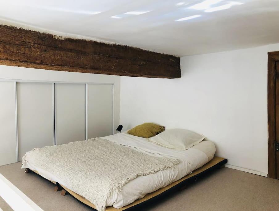 Appartement De Caractere Au Coeur Du Centre-Ville Montpellier Ngoại thất bức ảnh