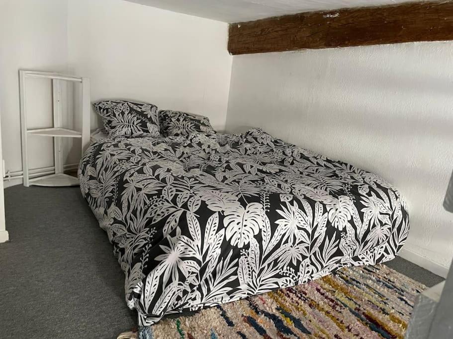 Appartement De Caractere Au Coeur Du Centre-Ville Montpellier Ngoại thất bức ảnh